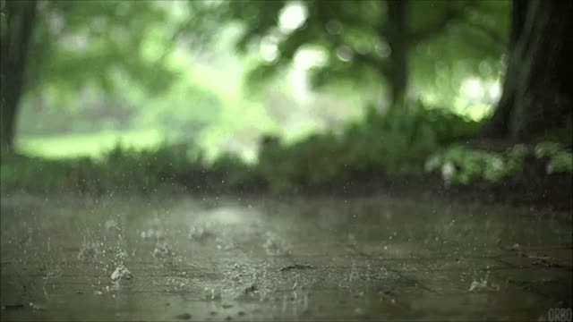 Relaxing Rain