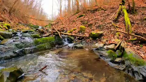 Relaxing water sound