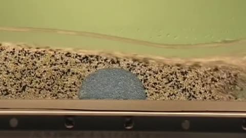 How a dam changes a river.