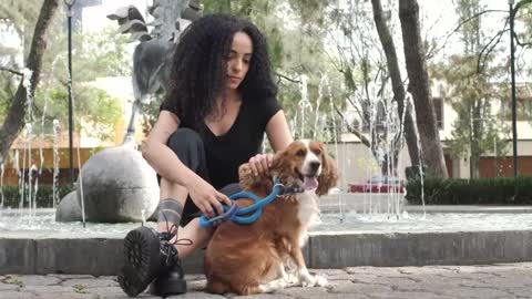 Girl sitting at a fountain with her dog aside