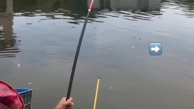 catch a giant fish