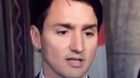 Justin Trudeau's eyebrow falls off during interview?