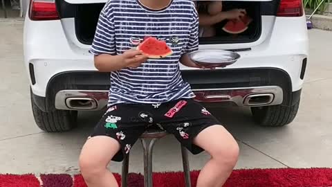 New funny videos
