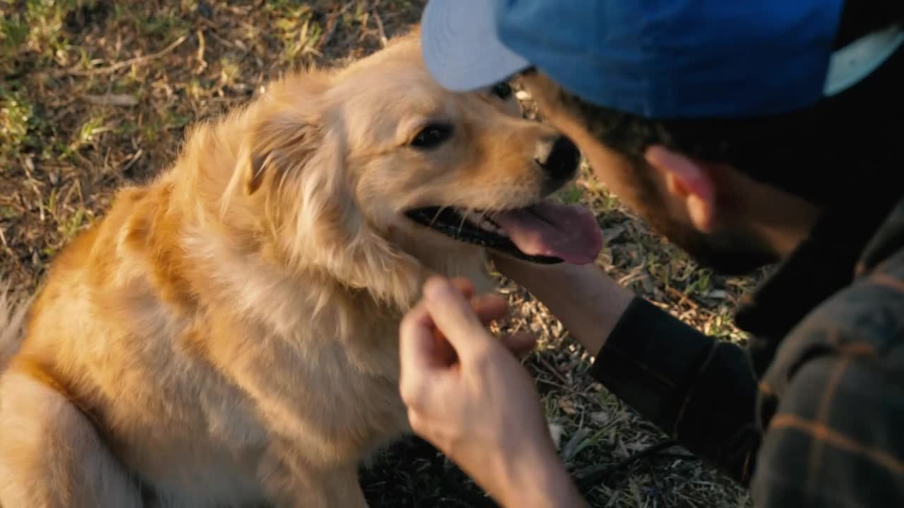 Dog being petted