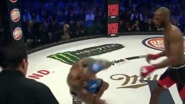 best mma knockouts 8