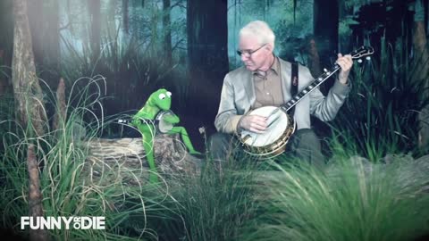 Steve Martin and Kermit the Frog..