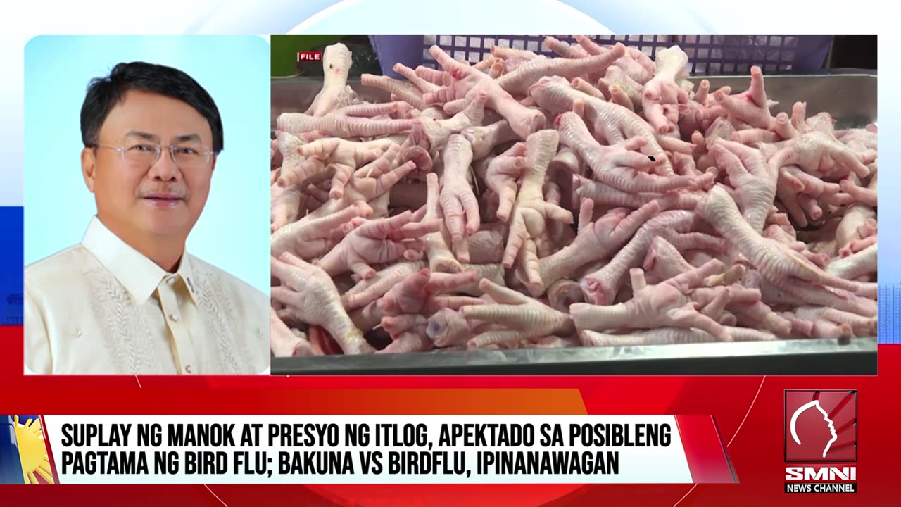 Rep. Briones, nananawagang maglunsad na ng bakuna sa bird flu; presyo ng itlog apektado