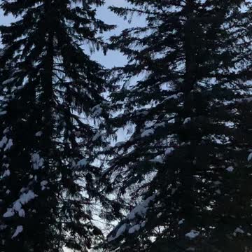 Gooooaaaaal. Between the uprights