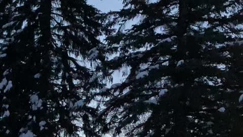 Gooooaaaaal. Between the uprights