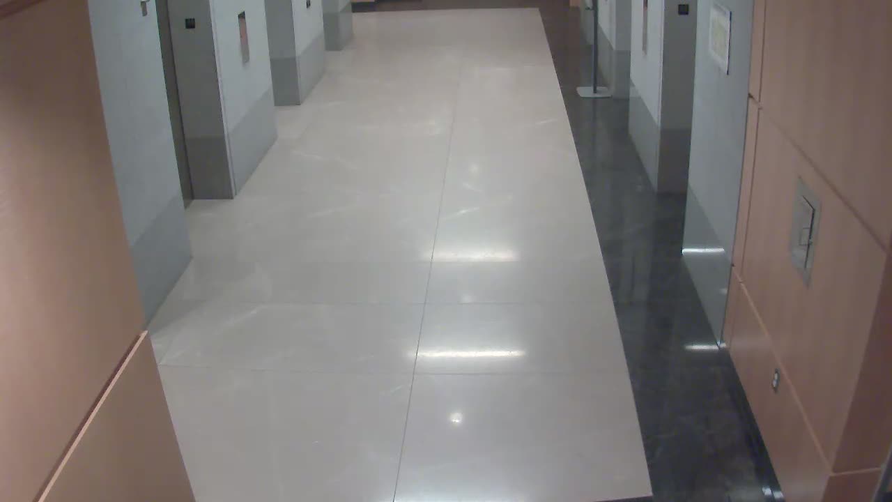 8488OHOB01ElevatorLobby_2021-01-06_08h20min00s457ms.mp4