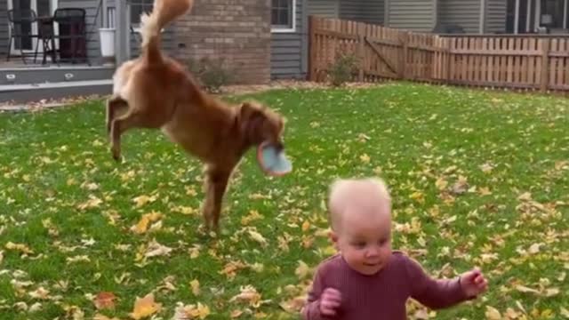 Dogs that grow up with kids, they have a deep bond