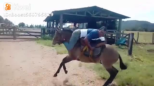 Man on top of horse