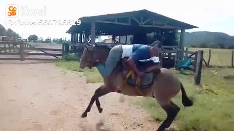 Man on top of horse