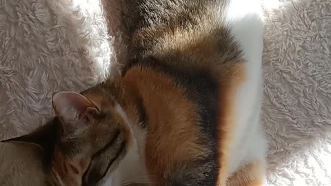 My darling