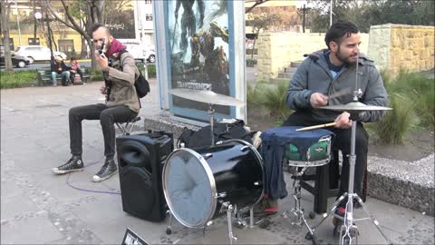 The animales from Venezuela in Santiago Chile