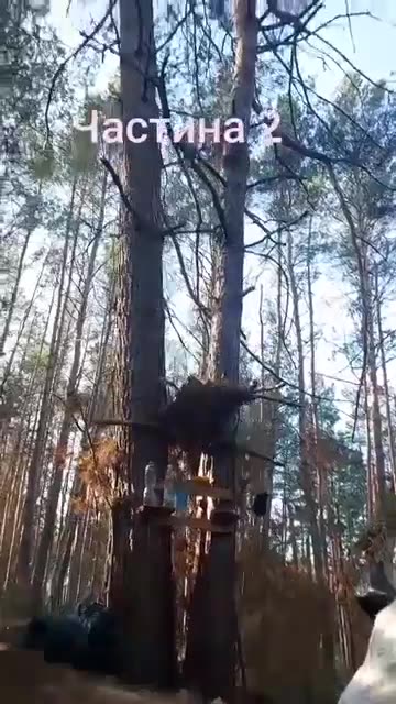 Точный прилет российского снаряда в блиндаж ВСУ прямо возле ведущего съемку украинского солдата