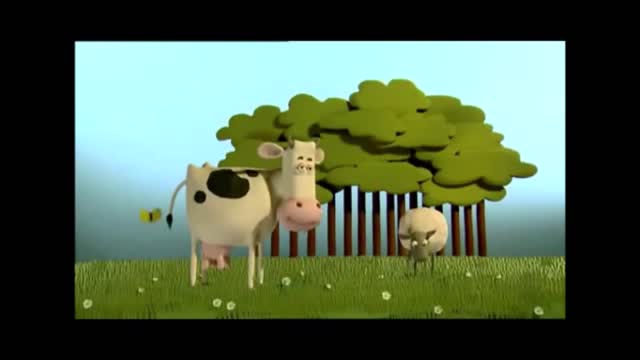 see what this cow does when she looks close to the sheep