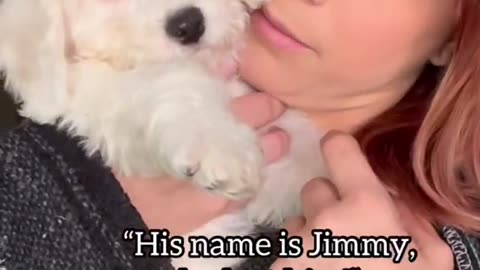 Josie_(our_pup)_needed_a_playmate_and_Penny_wasn’t