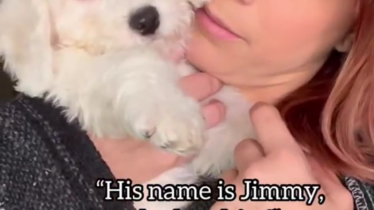 Josie_(our_pup)_needed_a_playmate_and_Penny_wasn’t