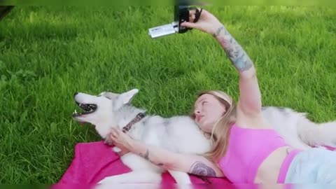 Dog Training- How To Teach Your dog cute video