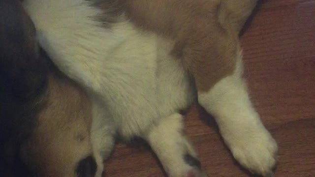 Old Man Njord is dreaming