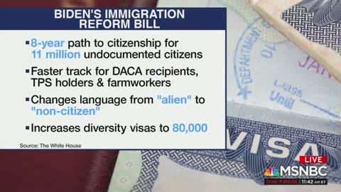 Immigration Activist: American Laws Referring to Non-Citizens as ‘Aliens’ Is ‘Dehumanizing’