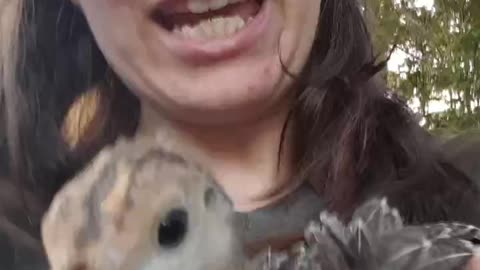 Meet our Turkey!