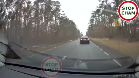 BMW vs Deer