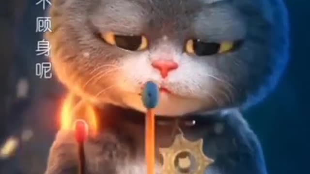 Cat cat cat ki video popular viral cat funny video comedy