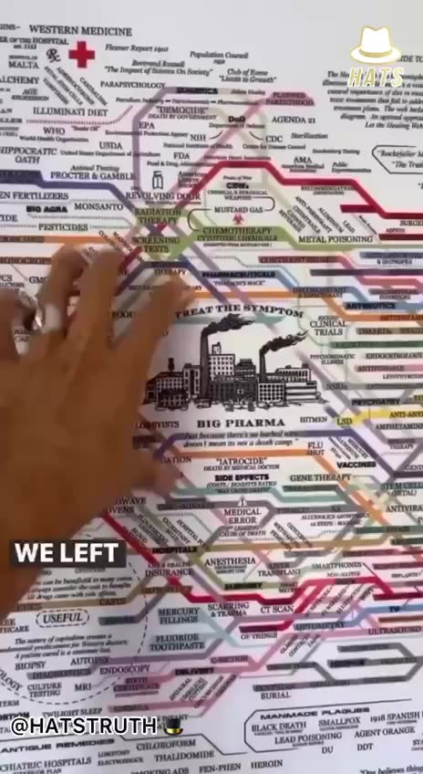 What Happened in 1910 that Changed Health Care Forever?