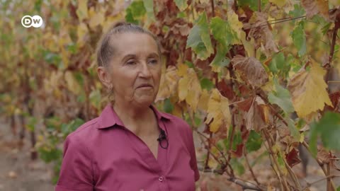 Between Harris and Trump_ Latinos ahead of the U.S. election _ DW Documentary
