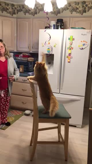 Carson H. Getting Crazy