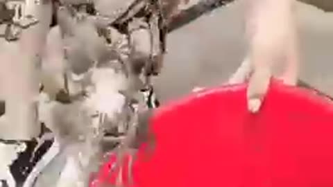 Amazing rural fishing video_Best asian fishing