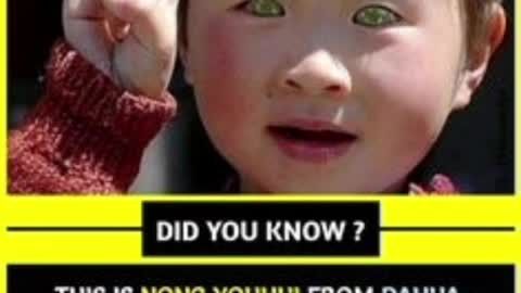 Best short video of facts