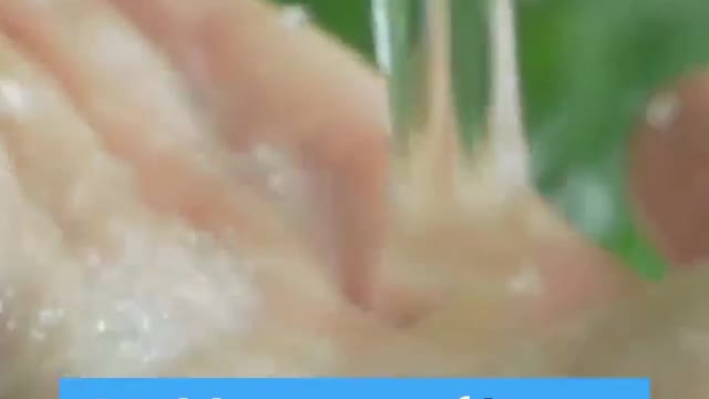 Keto recipes for the best low carb diet #shorts