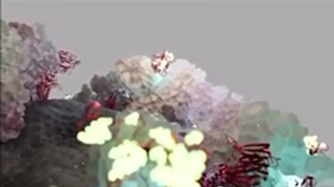 MUST WATCH!!!👀👁👁 This video explains what actually happens after taking the Covid-19 vaccine 💉