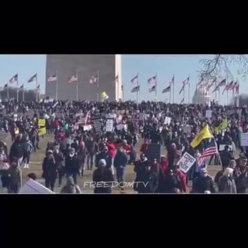 Americans come out to join the rest of the world to protest tyranny