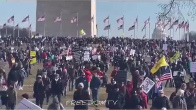 Americans come out to join the rest of the world to protest tyranny