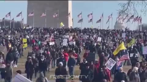 Americans come out to join the rest of the world to protest tyranny