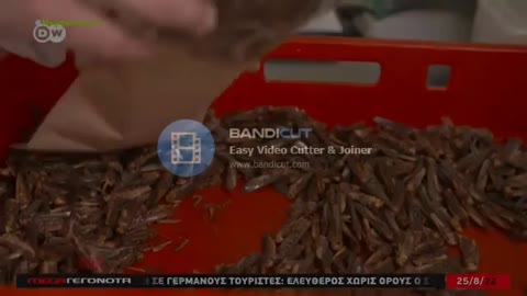 ..Φάτε έντομα να σωθεί ο πλανήτης.. Προπαγάνδα απ' το μέγα