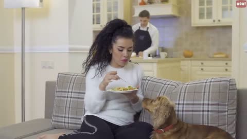 The Meaning Behind 21 Strangest Dog Behaviors | Facts about Dogs