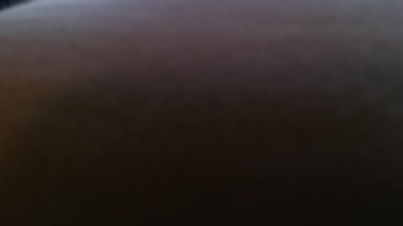 The marine cat fighting the zombie hand