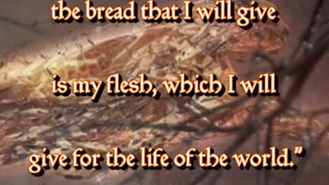 GIF Video Bible Study