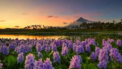 Calm and Relaxing Music (an hour with the LORD)