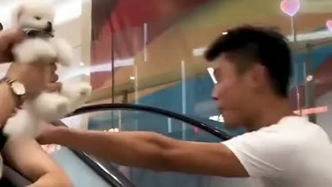 I came to the supermarket to send my lovely dog