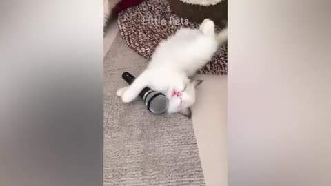 Funny pets viral video 😂🐈💖