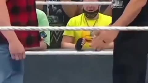 Brock and Roman Reigns Fight