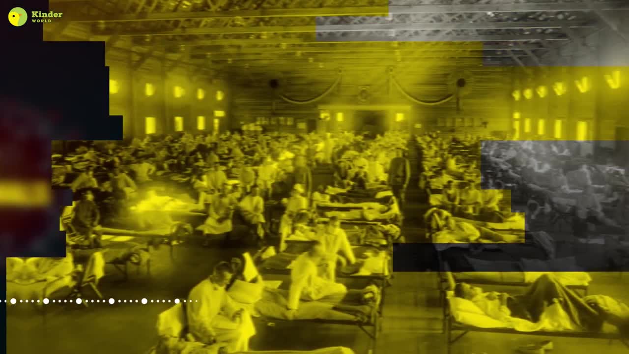 navirus Pandemic_ Could how we treat animals be getting back at us_