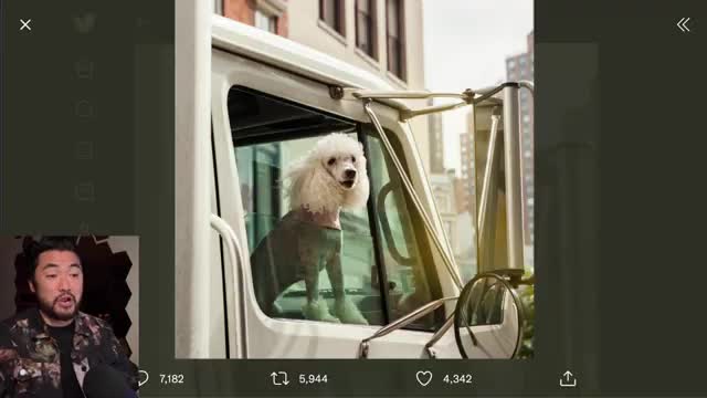 Euthanizing Truckers' Dogs To Punish PROTESTS! HOW MANY WAR CRIMES TILL THIS ENDS?