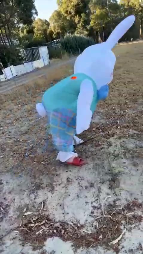 Easter Bunny Falls Down!